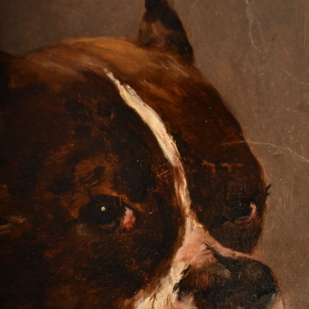 QA795 4a antique oil painting dogs portraits painting XIX